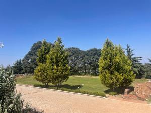 Cabañas Misión Amealco