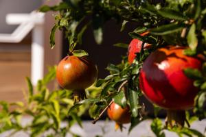 Mantàri Eco Lodges - Adults Only