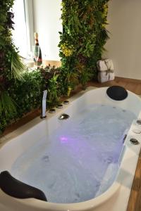 Maisons de vacances La Pommeraie - Balneo- Queen Size- Canal- Parking : photos des chambres