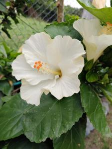 Ecohotel la Floresta