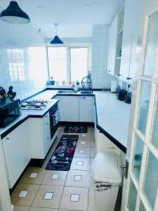 Majestic Apartment - 布罗姆利