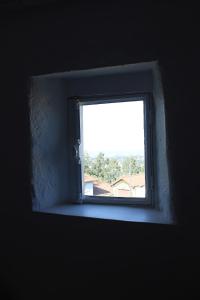 La Maison au Camélia