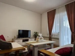 APARTMAN Iva - Zidine
