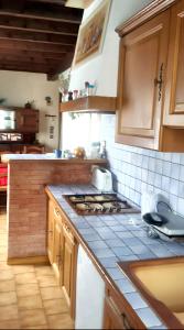 Maisons de vacances Maison de charme a Fontrabiouse avec vue sur la montagne : photos des chambres