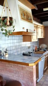 Maisons de vacances Maison de charme a Fontrabiouse avec vue sur la montagne : photos des chambres