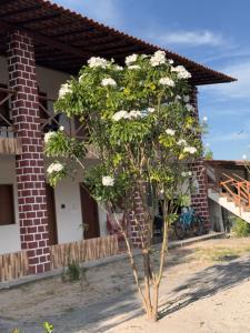 Pousada São José Santo Amaro ma