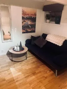 Cozy 1 bedr apartment close to everything! - Trondalen