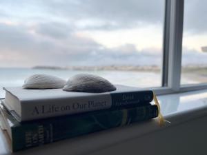 Sound of the Sea - Penthouse in Portrush