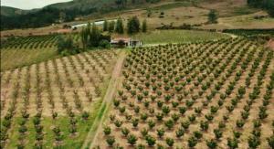 Cabaña rodeada de frutales - Granja la miel