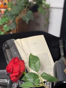 Romantic Bathtube Cismigiu Park 2 Room Apartament