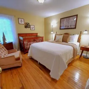 The Lily Pad at Loon Lake near Gore Mountain - Johnsburg