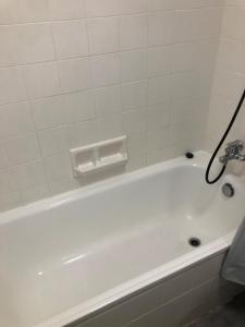 Studio and breakfast