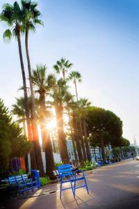 Studio and breakfast