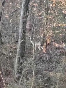 Country living - Warm Springs