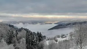 RELAX CHALET Nature Retreat - isolé sur 3 hectares - confort de LUXE - maison entière 150m2 - près de La Bresse - Gerbamont 