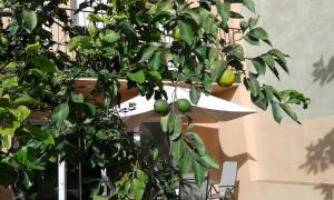 Holiday home Splendid Park Güell