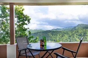 Misty Hills Retreat - Stony Hill