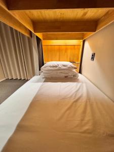 1 người trong phòng tập thể 4 giường tầng – Chỉ cho nam, không cho phép mang theo thú cưng (1 Person in 4-Bunk Bed Dormitory - Male Only, No Pets Allowed)