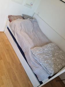 Schönes gesamtes Appartement gegenüber vom Botanischen Garten und nahe S Rathaus Steglitz