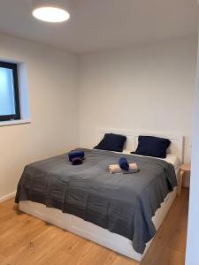 Ski & chill with a summer terrace