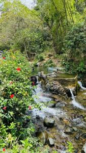 Hotel Restaurante LA AZOTEA
