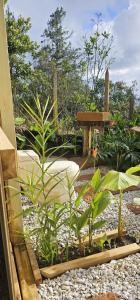 Glamping DESEO con Jacuzzi, Wifi, fogata y vistas de Medellín