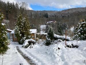 Kleines Haus am Wald