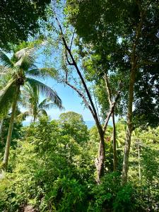 Kalani, Haad Yao