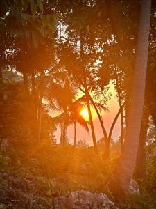 Kalani Bungalows, Haad Yao