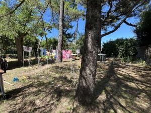 Maisons de vacances Maison cosy pres plage avec jardin et parking - FR-1-224C-332 : photos des chambres