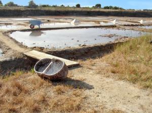 Maisons de vacances Maison agreable proche des plages - 40 m² - Le Grand-Village-Plage : photos des chambres