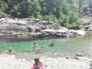 Chalets Chalet charmant a Saint-Jean-du-Gard : photos des chambres