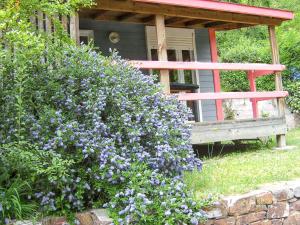 Chalets Chalet charmant a Saint-Jean-du-Gard : photos des chambres