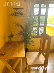 Hotel La Playa