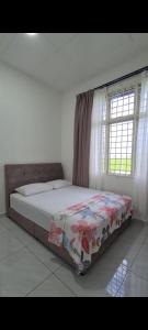 Rumah Paddy