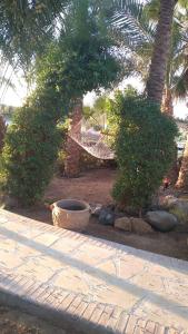 Casa Della Laguna in Gouna