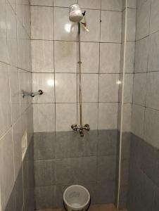 Blooms 25 Apartments