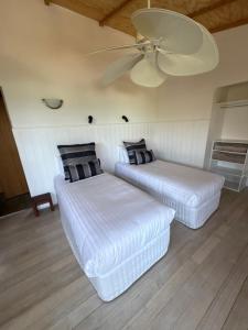 Driftwood Bay of Fires