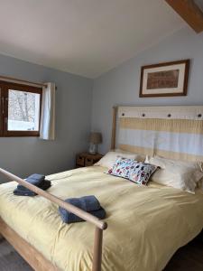 Lodge with private pool surrounded by vineyards