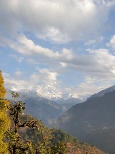 Pahadi Musafir Home Stay