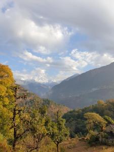 Pahadi Musafir Home Stay