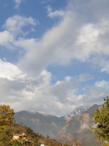 Pahadi Musafir Home Stay