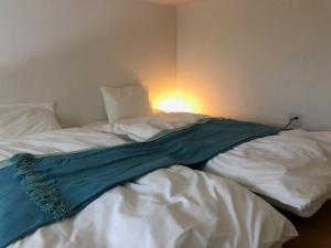 エスポアール新町203