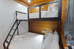 Sea Gadabout - Back Packers