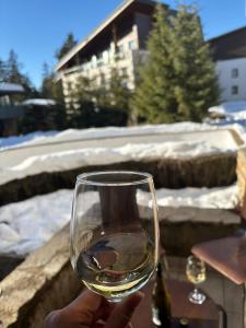 Alpine Charm Borovets Apart