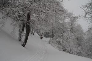 Chaberton & wood view