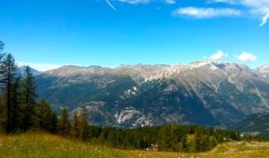 Chaberton & wood view