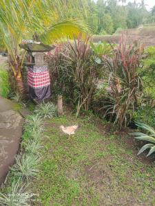 Pondok Pengaringan Loon