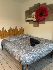 Appartements Gite a la campagne 1 : photos des chambres
