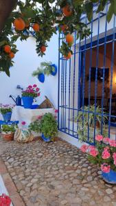Casa de Ángel Balconcillo a La Subbética